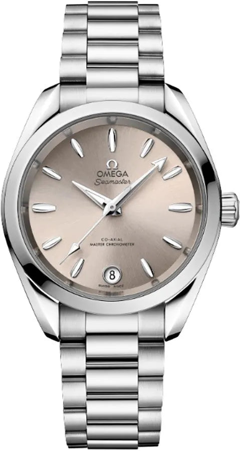 seamaster Omega Silver Dial Steel Watch